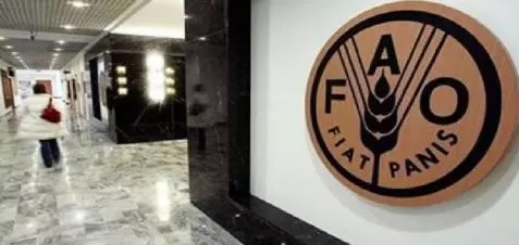 La Mauritanie élue membre de la FAO représentant du Groupe africain