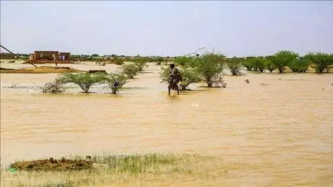 Prévision d'orages sur 4 wilayas de l'intérieur dans les prochaines 24 heures