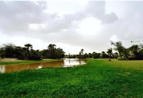 Des pluies enregistrées en Assaba et au Guidimakha...hauteurs
