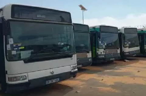 La Société des Transports Publics renforce sa flotte d’autobus