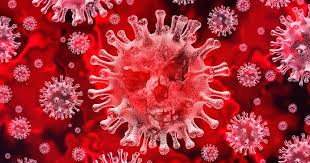 Avec la canicule, le coronavirus disparaîtra-t-il? 