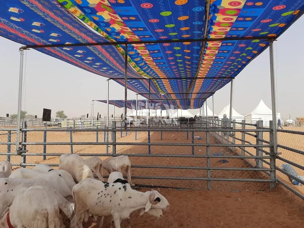 Photos sur les préparatifs d’ouverture de la foire de l’élevage à Timbedra