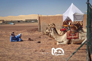 Album de l'ouverture de la 11ième édition du festival des cités du patrimoine  