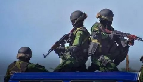 Le chef d'un gang spécialisé dans le vol de bétail arrêté