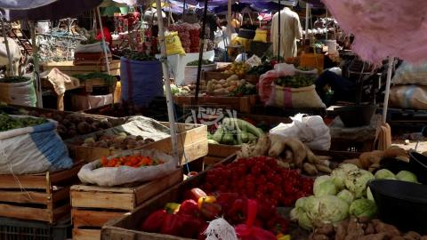 Eclairages ministériels relatifs à la reprise de l'importation de légumes