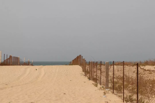 Erosion du Littoral : un problème ancien pour une ville moderne