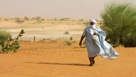 Canicule : La Météo appelle les citoyens des Hodhs et du Sud à la prudence