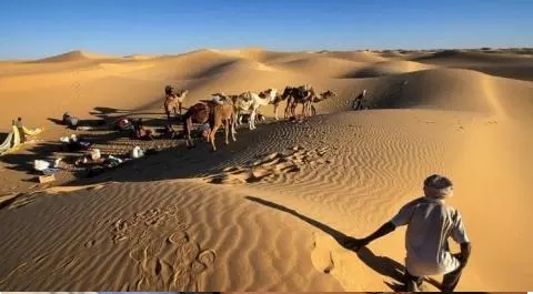 Prévision d’une baisse légère dans températures dans certaines wilayas