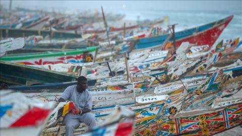 Les dates de reprise des pêches artisanale, côtière et industrielle fixées