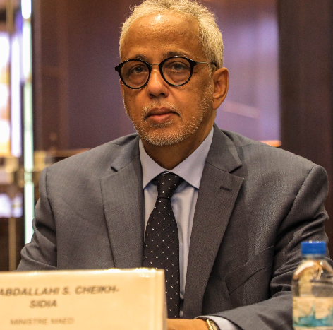 MAED : la Banque Mondiale finance actuellement 20 projets en Mauritanie