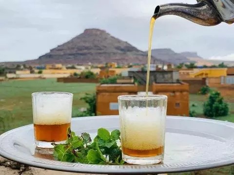 Mauritanie : près de 50 variétés de thé envoyées en Europe pour analyse