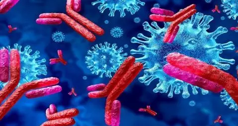 Découverte d'une thérapie développée capable de protéger contre le Covid !