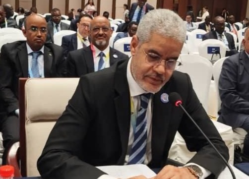 وزير الاقتصاد ولد المالية سيد أحمد ولد أبوه