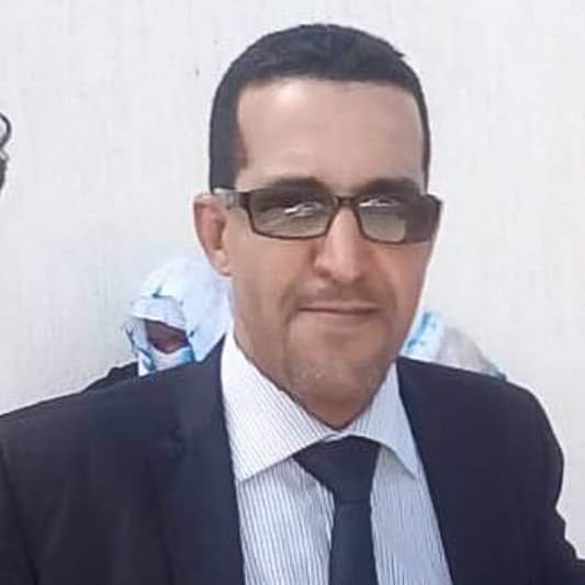 محمد ولد عبد القادر
