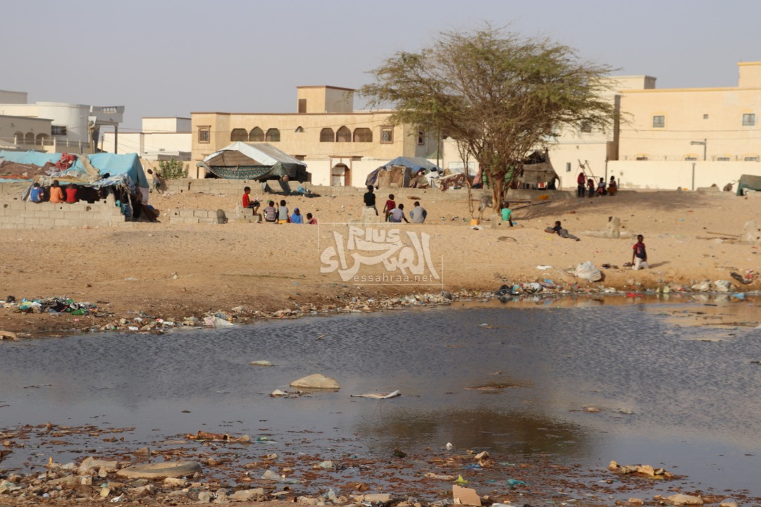 معضلة البرك والمستنقعات في نواكشوط ـ (المصدر: الصحراء)