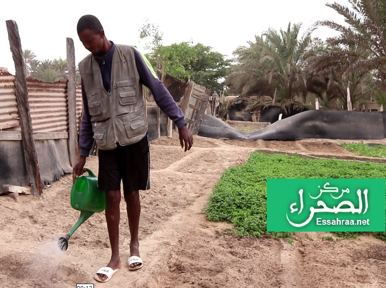 أحد عمال "لحرايث" بمدينة نواذيبو (المصدر: الصحراء)