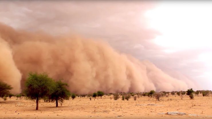 المصدر: الانترنت