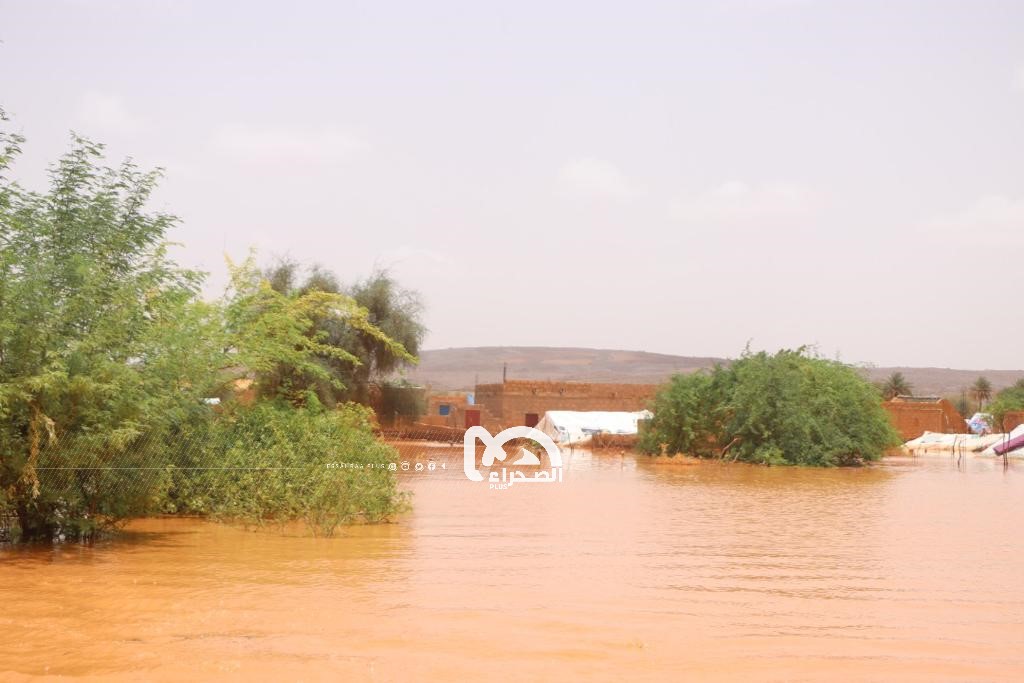 المصدر: أرشيف الصحراء