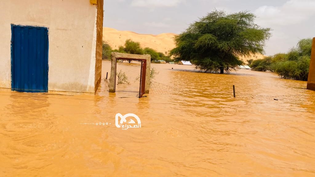 المصدر: الصحراء