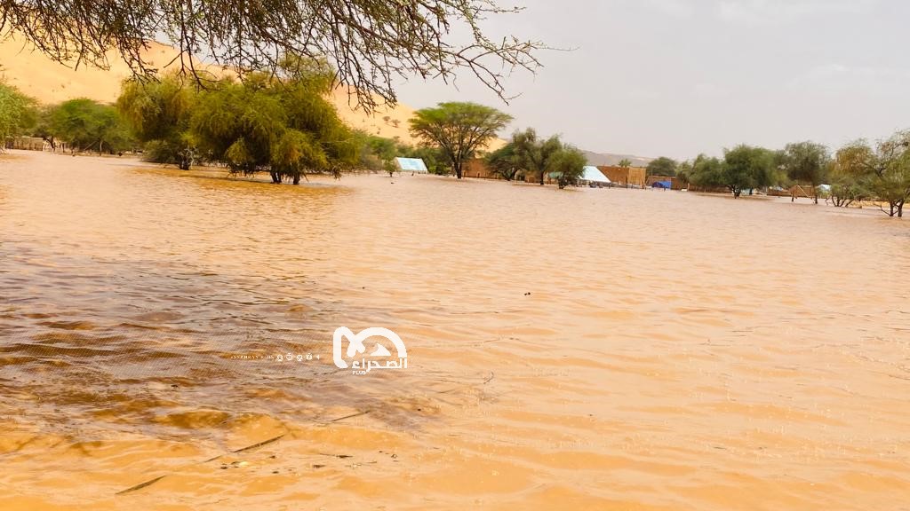 المصدر: الصحراء