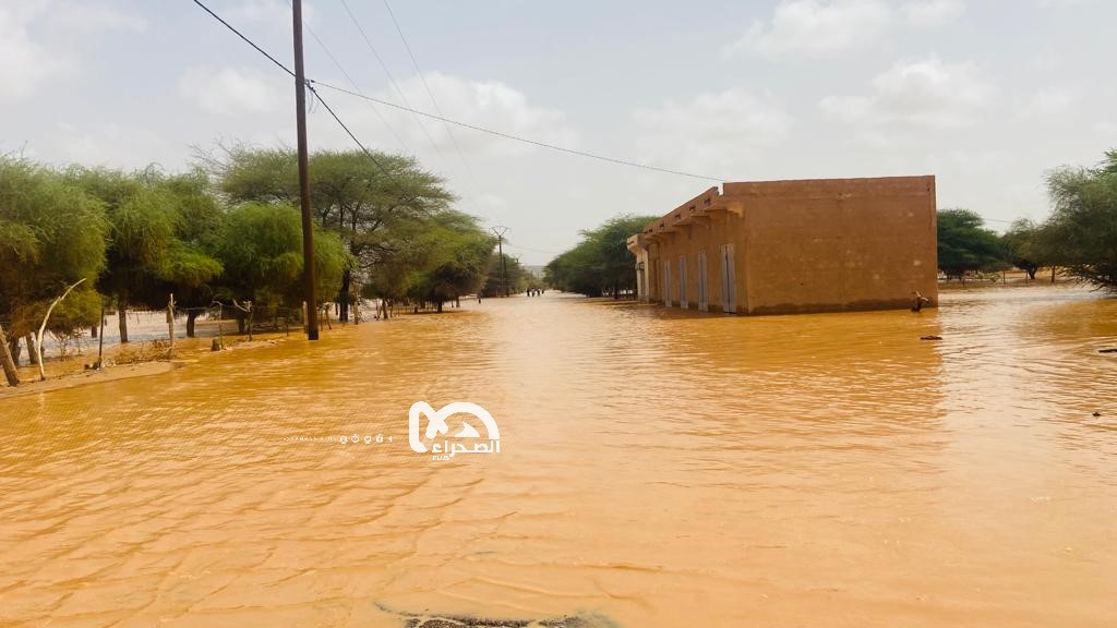 المصدر: الصحراء