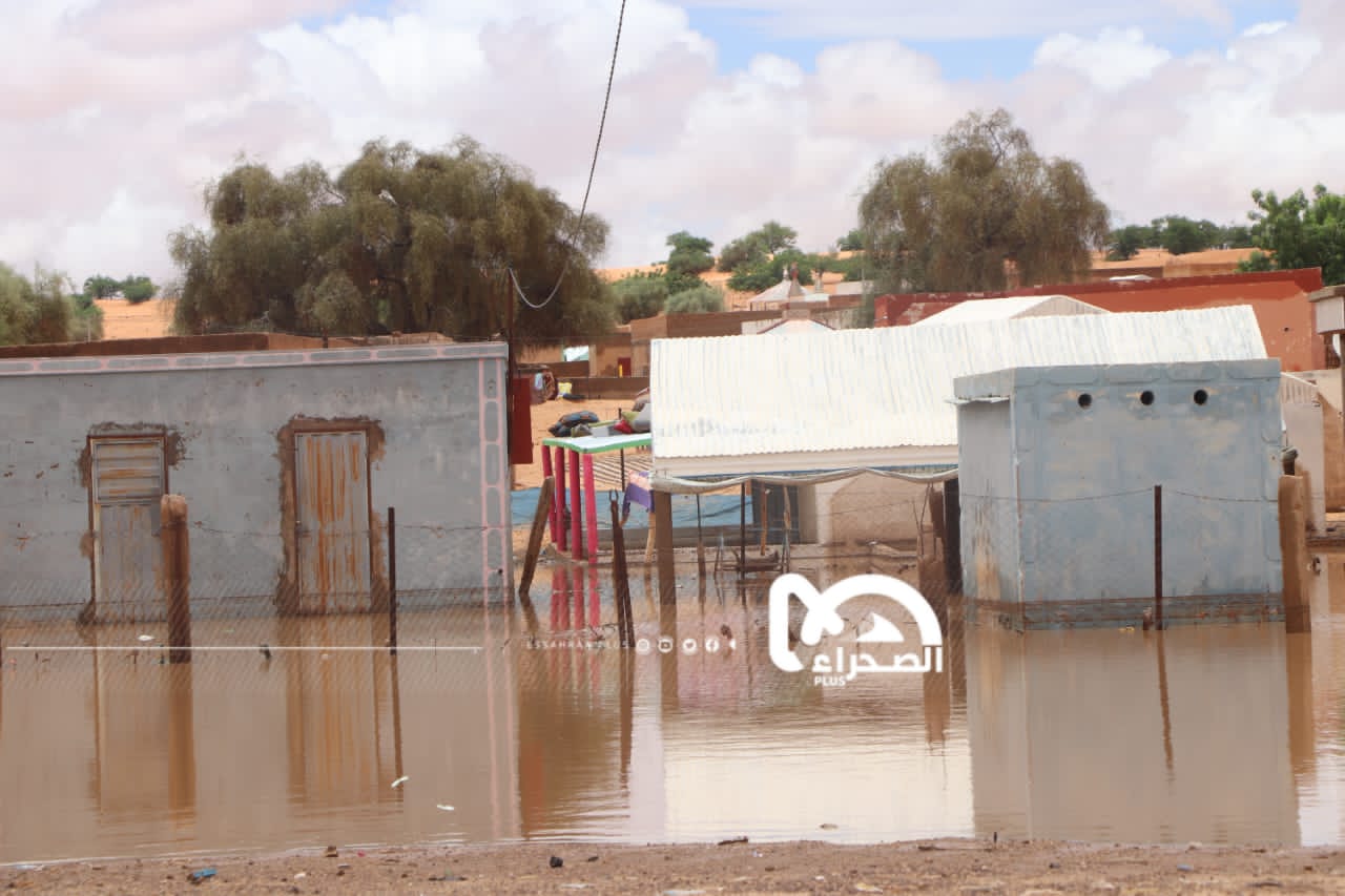المصدر: أرشيف الصحراء