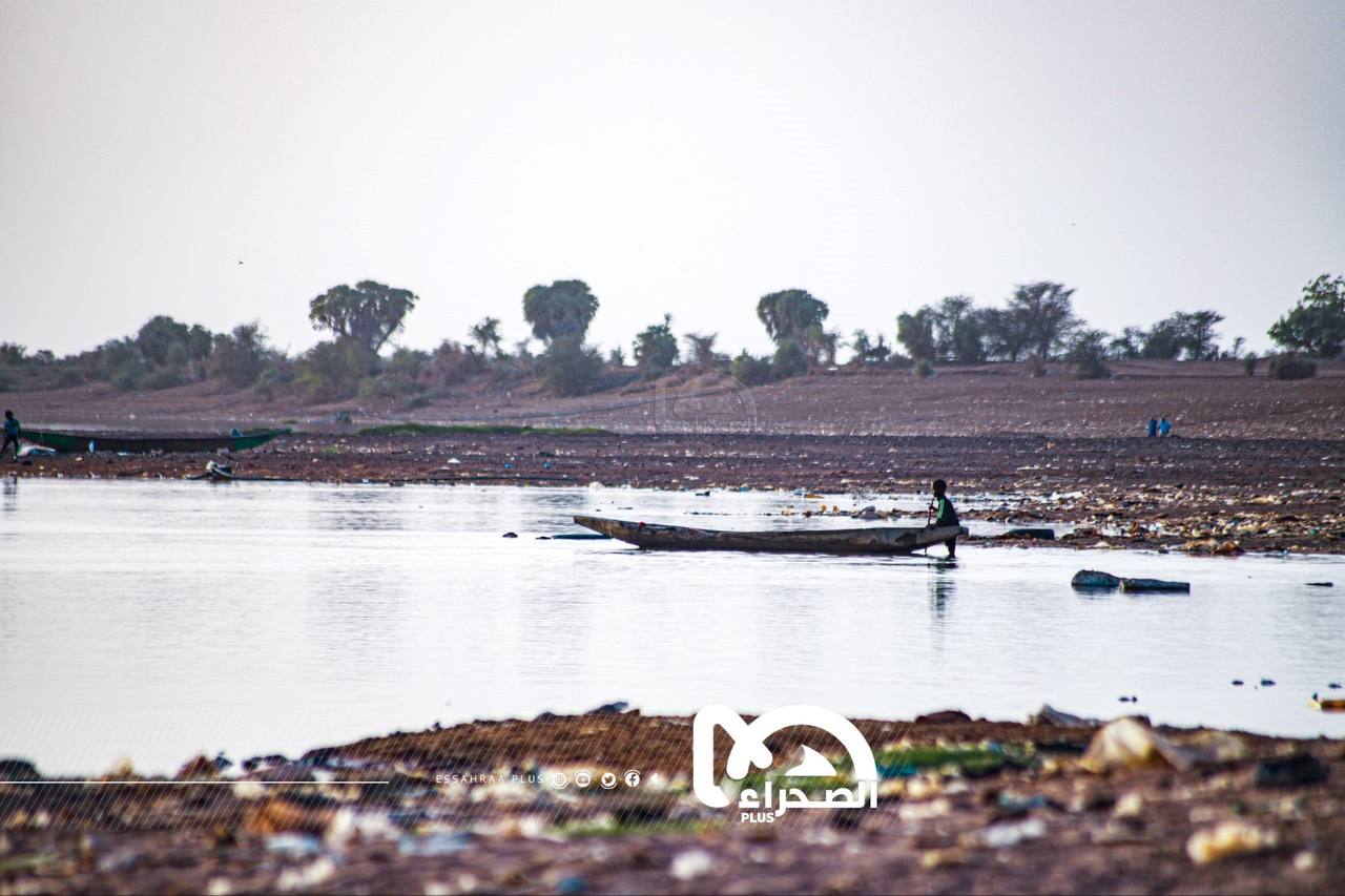 المصدر: الصحراء