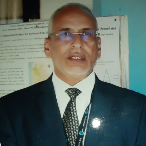 محمد الأمين شامخ