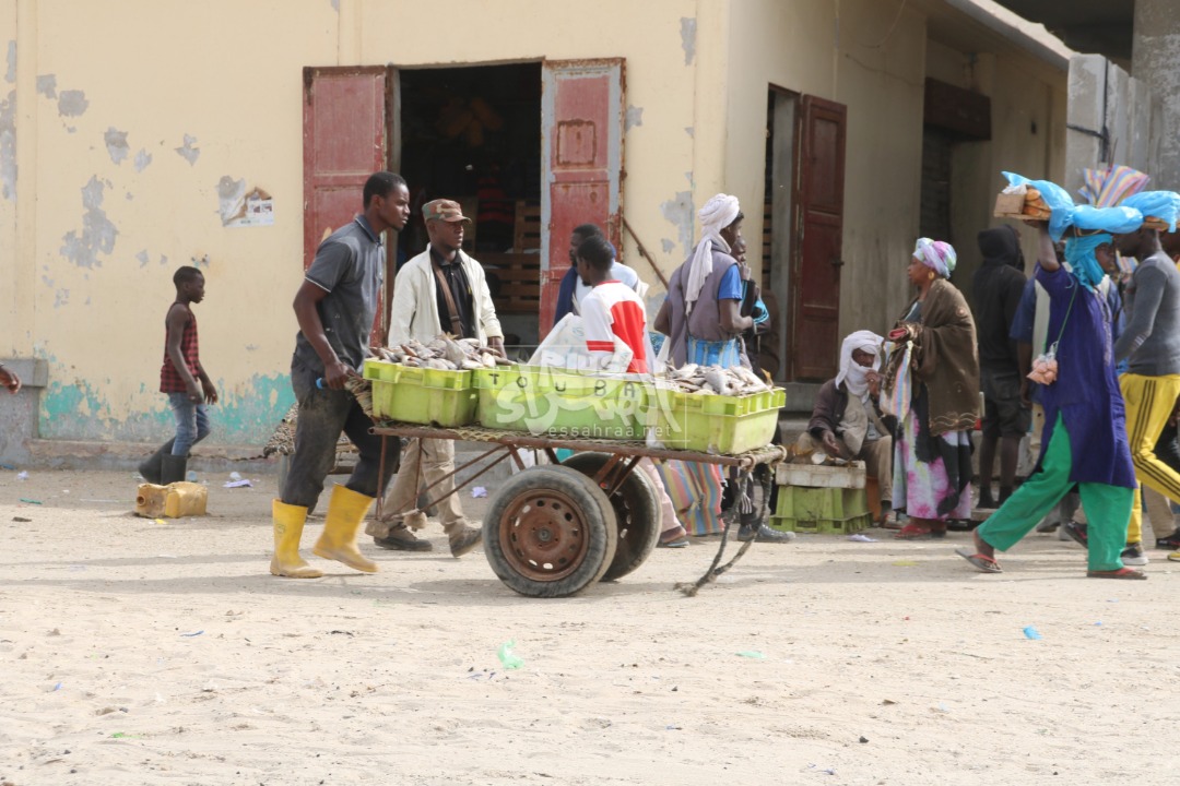 سوق السمك بالعاصمة نواكشوط - (المصدر: الصحراء)
