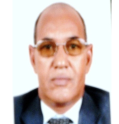 محمد يحي ولد باباه