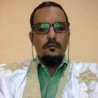محمد سالم ابن جد