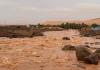 المصدر: (انترنت)
