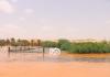 المصدر: الصحراء