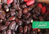 ارشيف الصحراء 