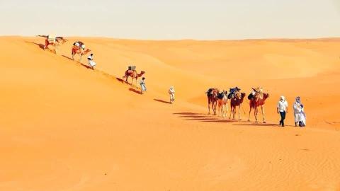المصدر: انترنت 