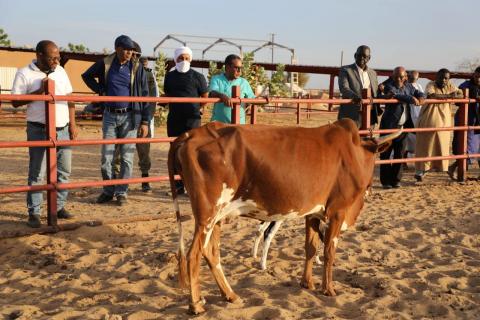 وزير التنمية الحيوانية خلال زيارته لإحدى المزارع النموذجية- فيسبوك