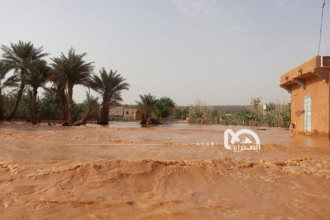 المصدر: الصحراء