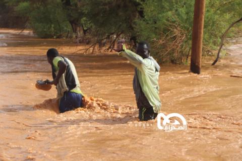 المصدر: الصحراء