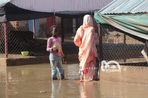 المصدر: الصحراء