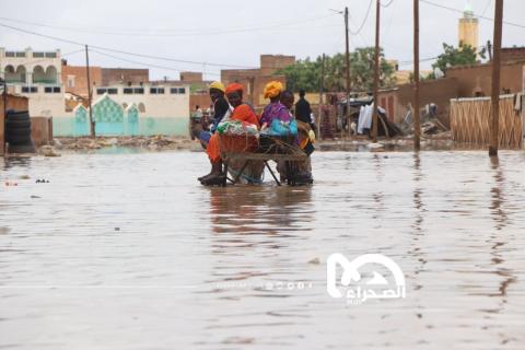 المصدر: الصحراء