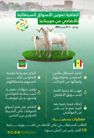 المصدر: الصحراء