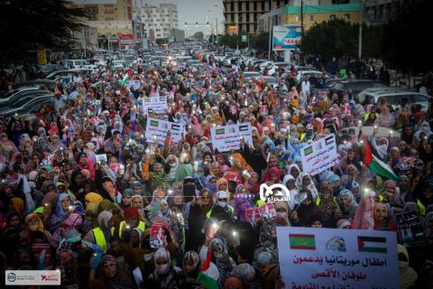 جانب من الوقفة- الصحراء