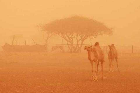 المصدر: انترنت
