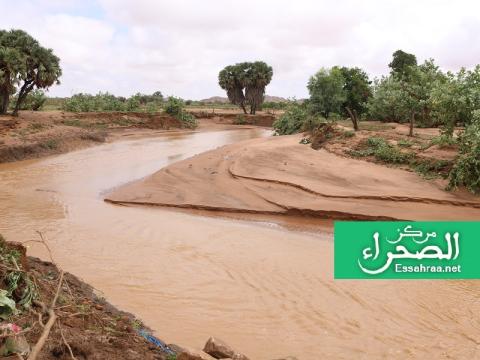 وادي في ولاية كيدي ماغه - (أرشيف الصحراء)