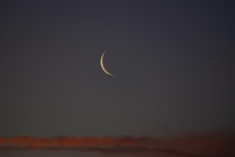 المصدر: (انترنت)