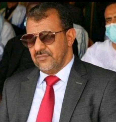 محمد محمود ولد أبو المعالي 