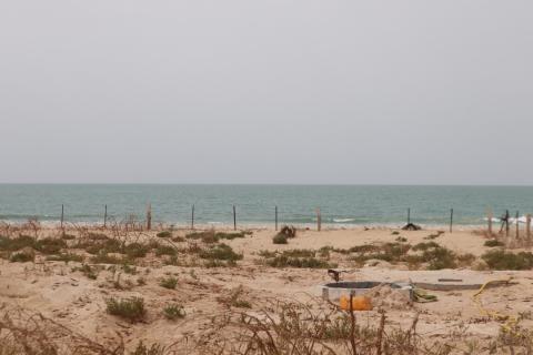 شاطئ نواكشوط - (المصدر: الصحراء)