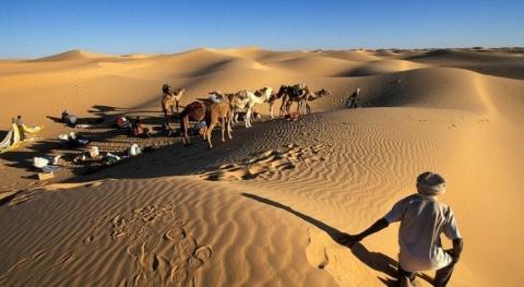 المصدر: (انترنت)