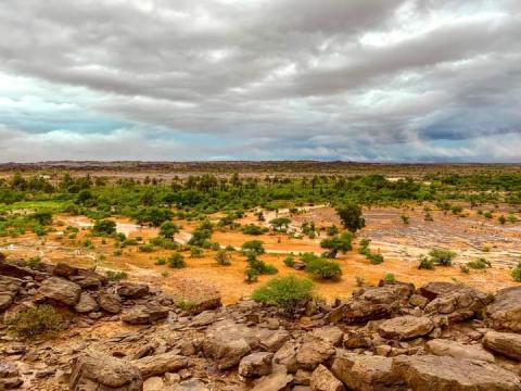المصدر: انترنت