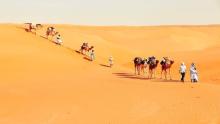 المصدر: انترنت 
